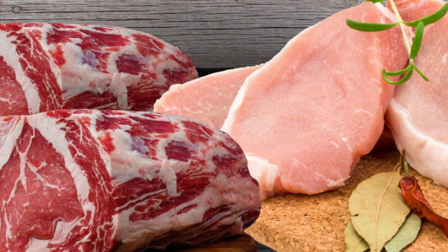 Diseño sin título (5)